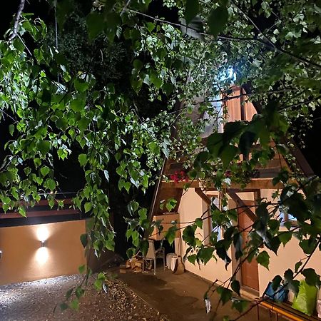 Vikendica Stojanovic Villa Mionica Екстериор снимка