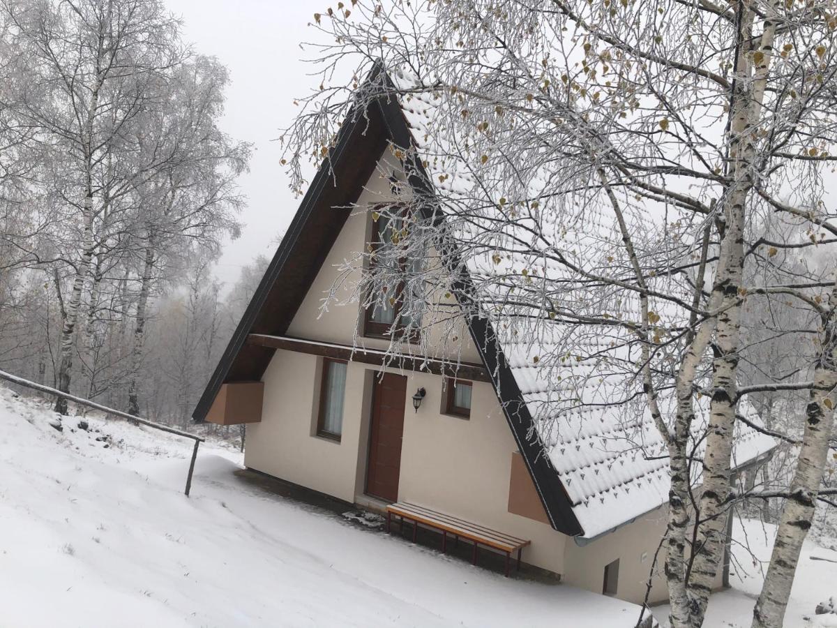 Vikendica Stojanovic Villa Mionica Екстериор снимка