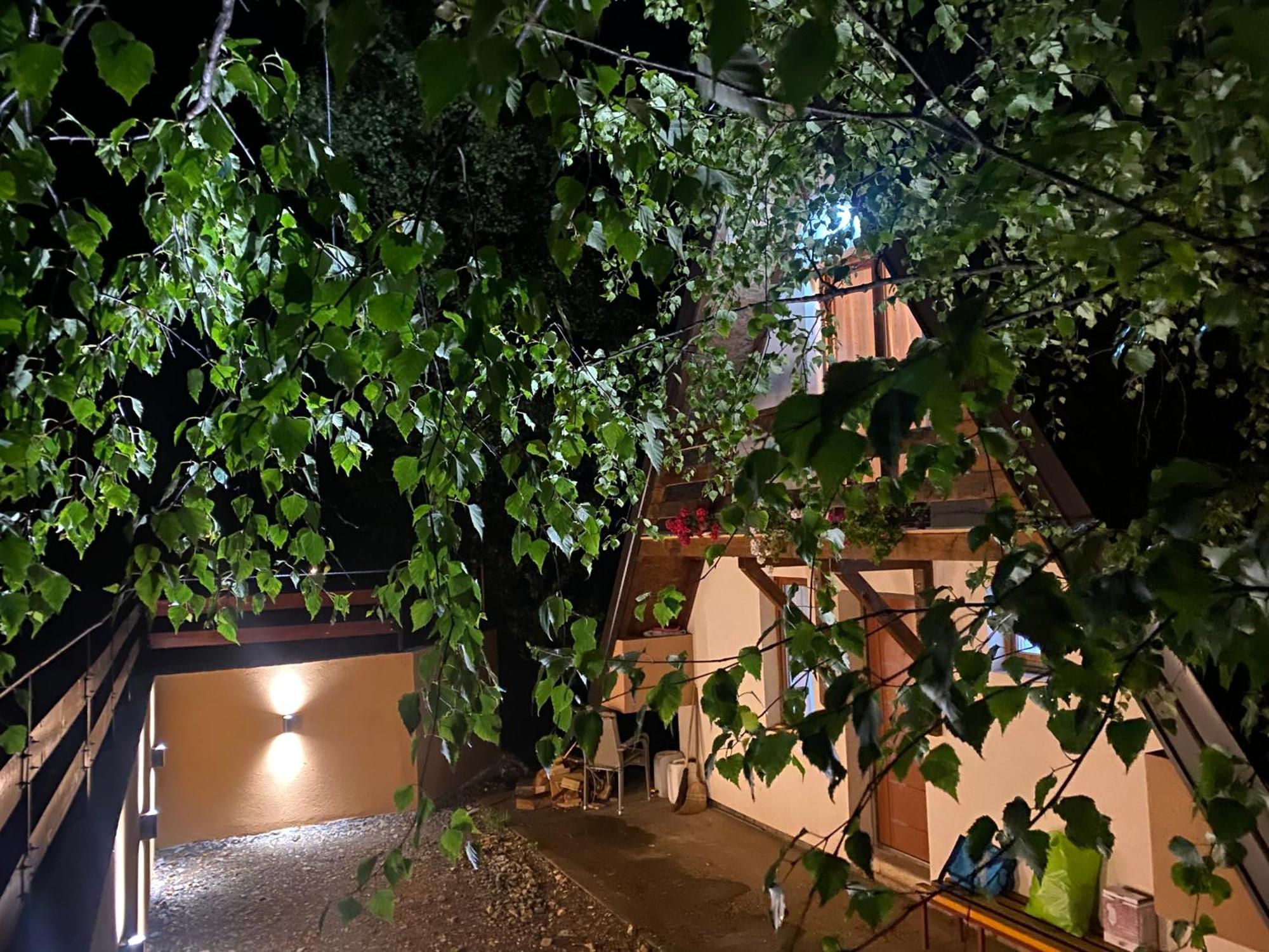 Vikendica Stojanovic Villa Mionica Екстериор снимка